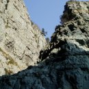 장승포유람선터미널 이미지