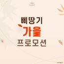 삐땅기린뷰티 이미지