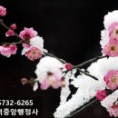 세븐직업소개소