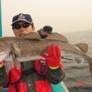 여주-0071 이미지