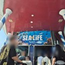 씨 라이프 | 아기랑부산여행 부산해운대씨라이프 아쿠아리움 할인 주차장 수유실