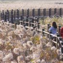 소라면 가사리 이미지