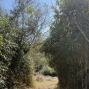 에덴동산펜션 이미지