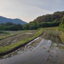 산골 논두렁 이미지