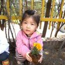 어린이집 꽃나무 심기 이미지