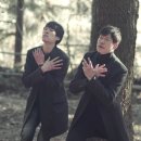 스프링독