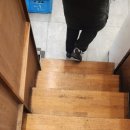홍대 쭈꾸미, 홍스쭈꾸미 홍대본점 후기 (내돈내산)