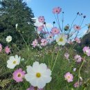 미희농장 이미지