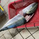 강화상회 이미지