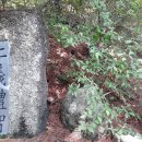 강릉의료원(버스정류장) 이미지