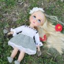 라임오렌지 이미지