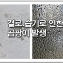 청ENG 이미지