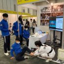 용인대 비상 태권도장 이미지