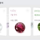 부산강아지분양 앨리펫 이미지