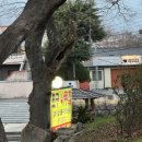 2020055 | 부산 금정구 맛집 포구나무집 갈매기살 솔직 후기 (예약 가능)