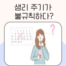 스마일피티 이미지