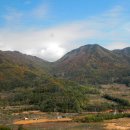 (합)보람관광 이미지