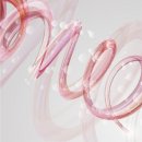 흑자헬스장 | [부평 헬스장] 벌크업 중 배만 먼저 나오는 이유