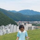 사북시장~태백 몽트랑 산양목장 (2024.6.25) 이미지