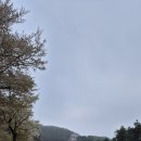 아시아나CC (회원제) 이미지