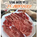 복수 한우음식특화거리 | 충남 부여 여행, 내돈내산 또간집! 구드래한우타운