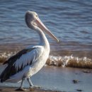 골드리버관광호텔 이미지