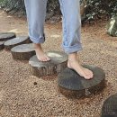 나폴리농원 네이버블로그