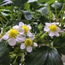 2월6일 목요일 충방출석부 ~ 어깨가 결릴때 이미지