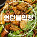 인덕원역 5번출구 | 인덕원역 매운맛 당길 땐 불 맛 가득 막창 맛집 인덕원 연탄불막창