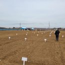 마정2농장 이미지