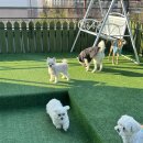 이리유치원 이미지