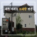 뜨레향 | 뜨레향 펜션 | 제주 서귀포 (제주 남부) 숙소/펜션 추천 (Feat. 재방문 의사 200% 인생 펜션, 맛있는...