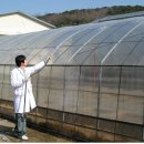 몸튼튼 키쑥쑥 요가교실 이미지