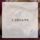 우리타일 이미지