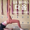 다옴요가&플라잉 | 풍무동운동추천, 필라테스에서 플라잉요가까지 할 수 있는 다옴필라테스
