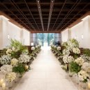 터틀하우스 이미지