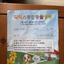 닥터스종합동물병원 네이버블로그