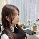 띠앗룸 이미지