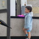 꼬마버스 타요 - 용감한 구조대 레스큐 타요 | 속도로 체력이 늘어가는 찌누/꼬마버스 타요<용감한 구조대 레스큐 타요>/가족 뮤지컬🎶/아양아트센터...