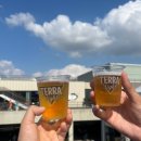 씨드 온 스테이지 -팝뮤직 스테이지 | [서울] 노들섬에서 열린 2025 시포레x엘르스테이지 가을 운동회 후기