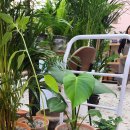 산동농협 하나로마트 이미지