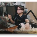로그라인