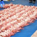 태우수산 Daum카페
