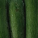 보령농장 이미지