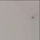 원종금맥 한의원 이미지