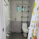 은행나무사거리2 이미지