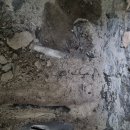 신월동119 이미지