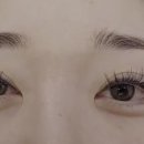 속눈썹언니 네이버블로그