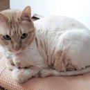 심곡2동 행정복지센터 이미지