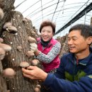 극복 농장 이미지